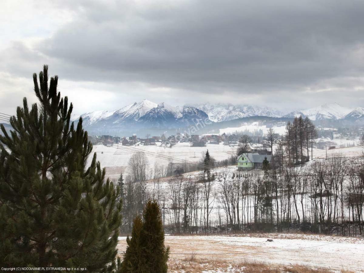 Agrotatry U Stachy