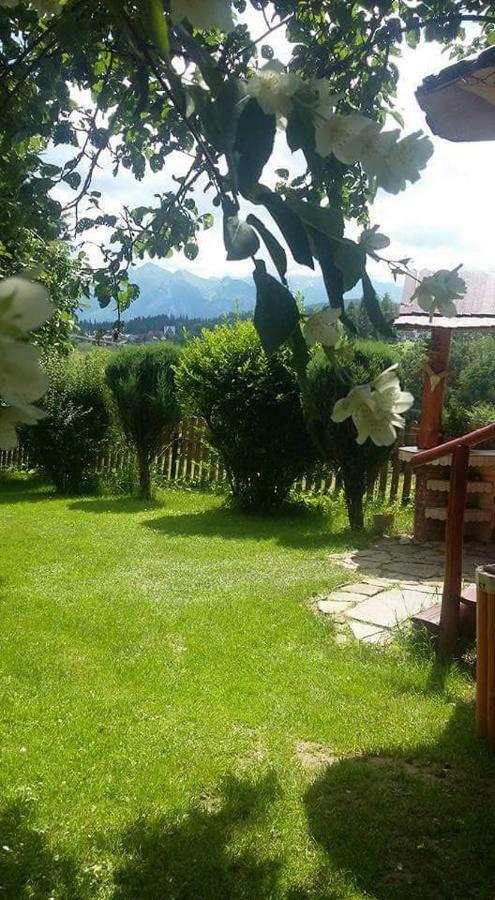Agrotatry U Stachy * Bukowina Tatrzańska