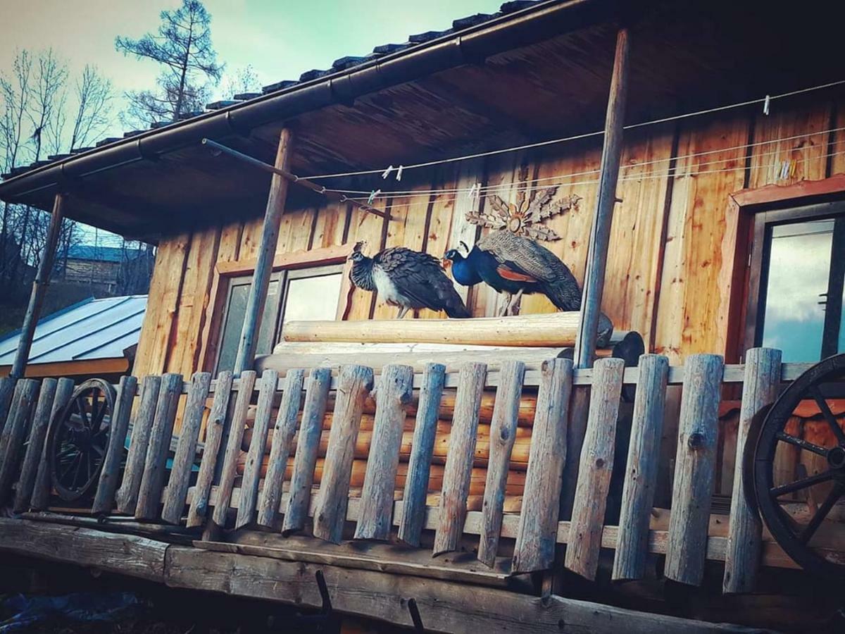 Agrotatry U Stachy *